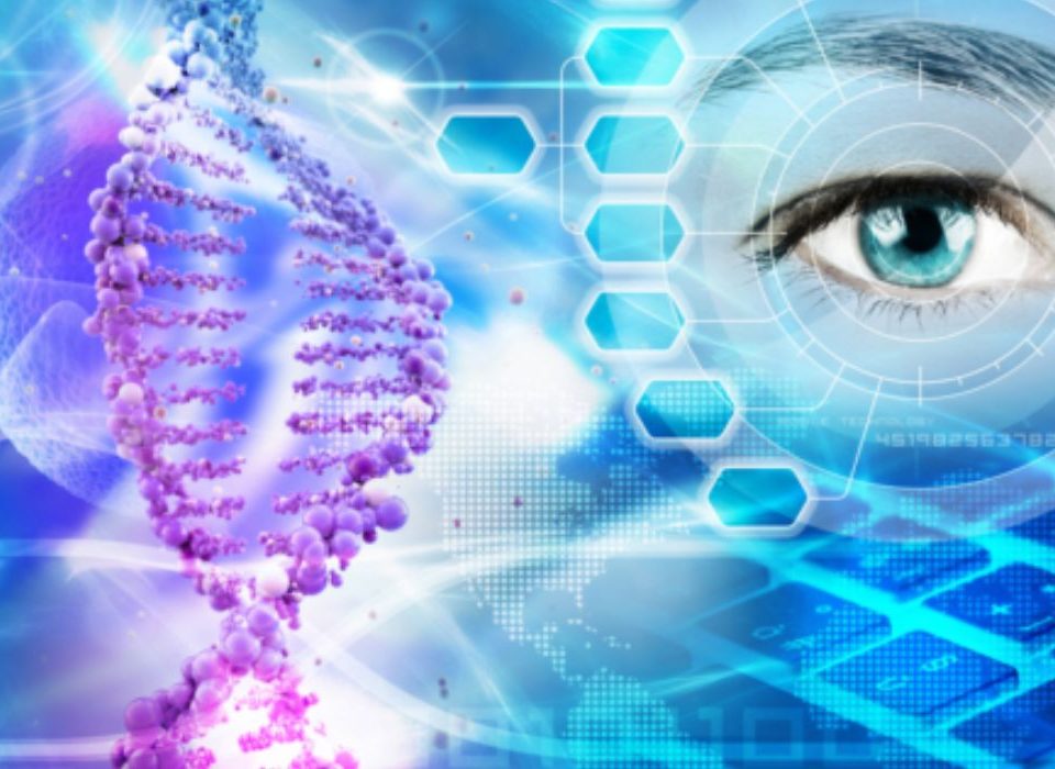 الأمراض التي تصيب العين وكيفية الوقاية منها