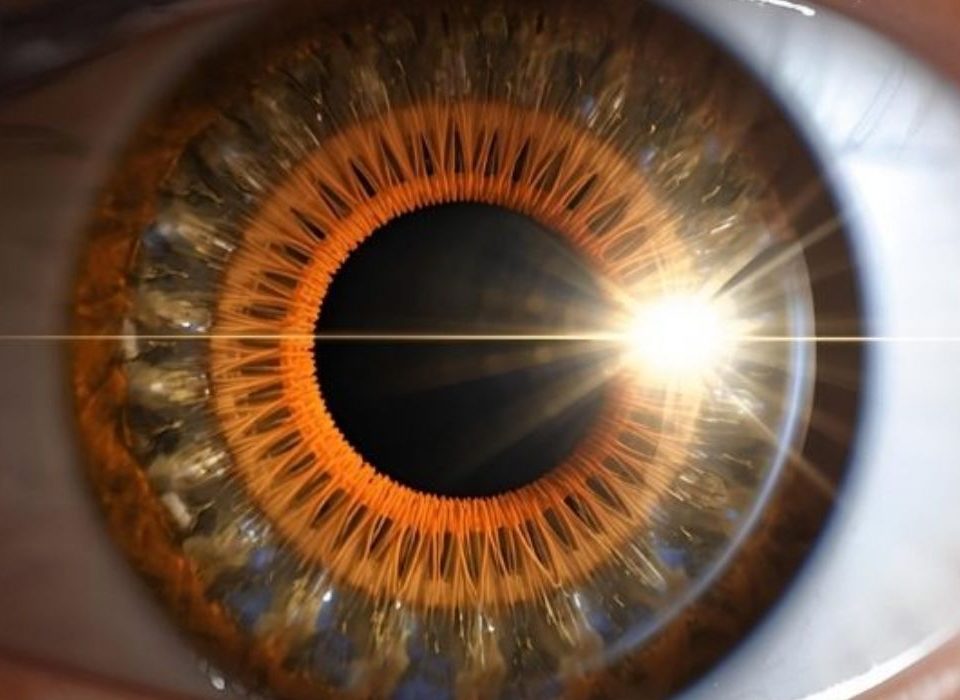 ما هي عدسة متعددة البؤر