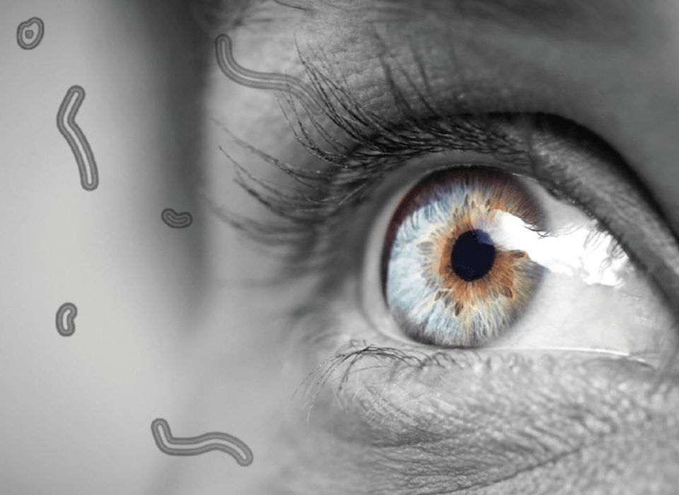 عوامات العين