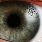 وظائف حدقة العين